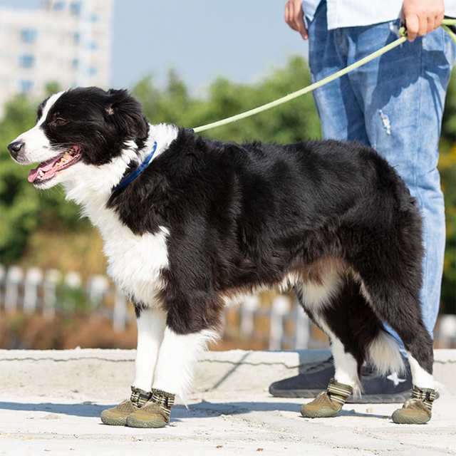 犬 靴 犬靴 犬の靴 ドッグシューズ メッシュ シューズ ソフト 夏 保護 