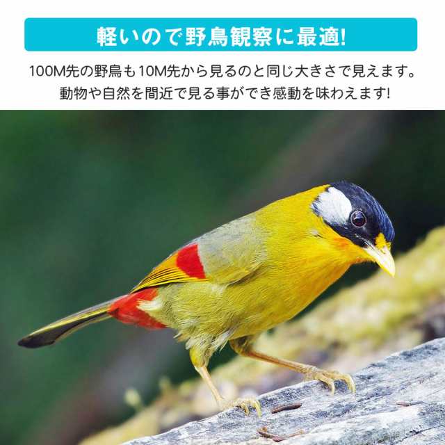 ランキング１位12冠達成 双眼鏡 10倍 10x22 高倍率 コンサート用 ライブ オペラグラス 観劇 10倍 ドーム スポーツ 観戦 アウトドア 広の通販はau Pay マーケット Smiledirect