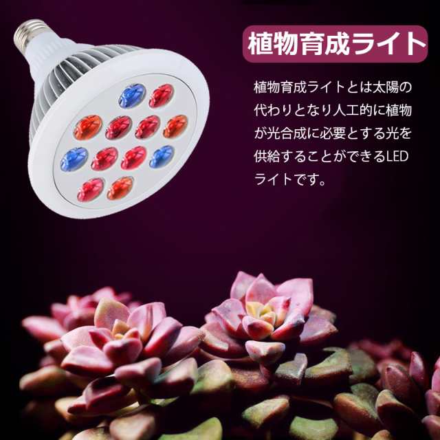 クーポン配布中 Ledライト 植物育成 栽培 お花 フラワー 成長補助 照明環境改善の通販はau Pay マーケット 壱番屋