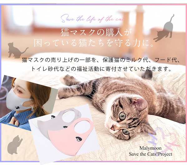 在庫限り！超特価【50枚】Neko MASSCOOL A 猫マスク可愛いです-