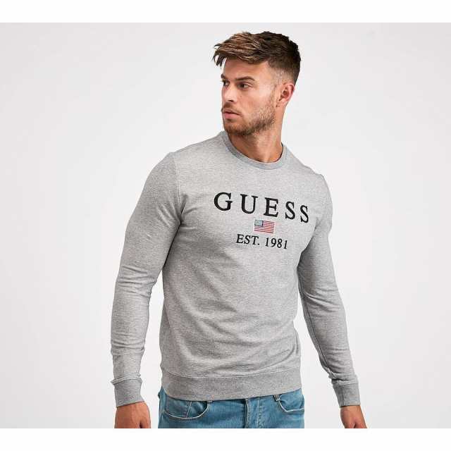 guess sweatshirt grey