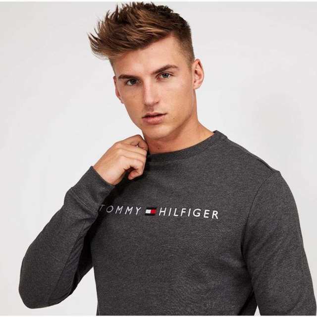 tommy hilfiger linear logo crewneck sweatshirt