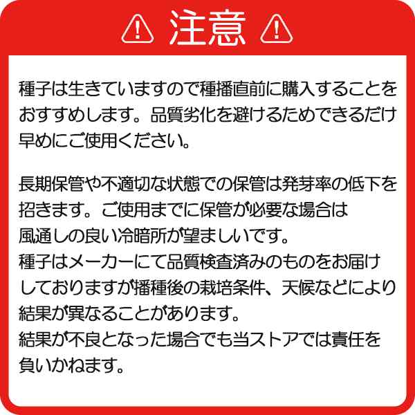 種子 センチピードグラス 100gの通販はau PAY マーケット - めばえや