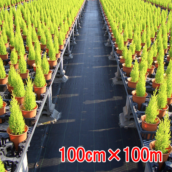 防草シート ルンルンシート 黒×黒 100cm×100m 小泉製麻【個人宅・現場発送不可】の通販は