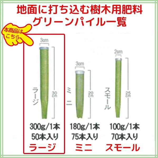 肥料 グリーンパイル ラージ 50本入の通販はau PAY マーケット - めばえや