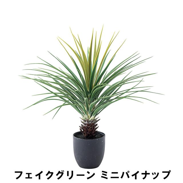 フェイクグリーン ミニパイナップル 幅61 奥行61 高さ67cm 造花 人工観葉植物 ガーデン ガーデン用品