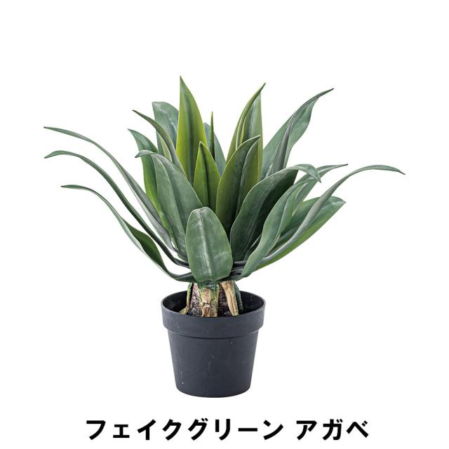 【値下げ】 フェイクグリーン アガベ 幅53 奥行53 高さ53cm 造花 人工観葉植物 ガーデン ガーデン用品 の通販は 6,926円