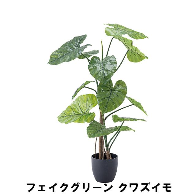 フェイクグリーン クワズイモ 幅57 奥行57 高さ117cm 造花 人工観葉植物 ガーデン ガーデン用品