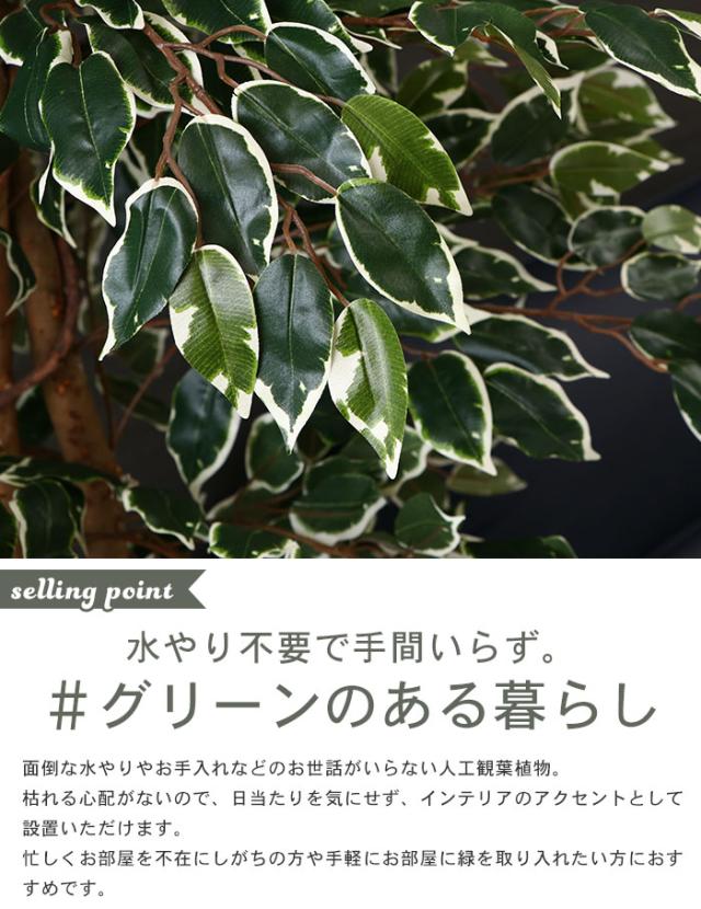 花材セット グリーン  Ｎｏ．507 観葉植物 人工 フェイクグリーン フィカス 高さ 170cm 7号鉢対応 人工