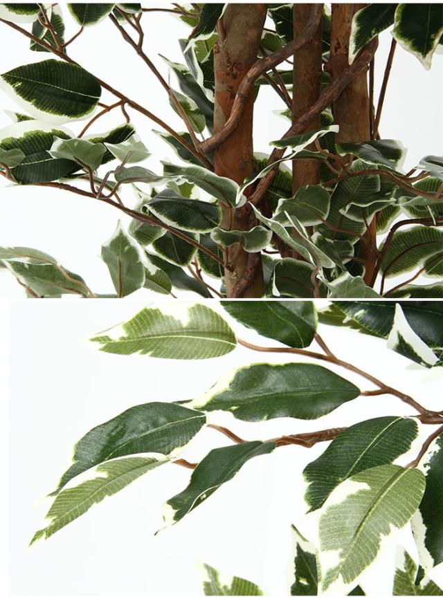 観葉植物 人工 フェイクグリーン フィカス 高さ 170cm 7号鉢対応 人工