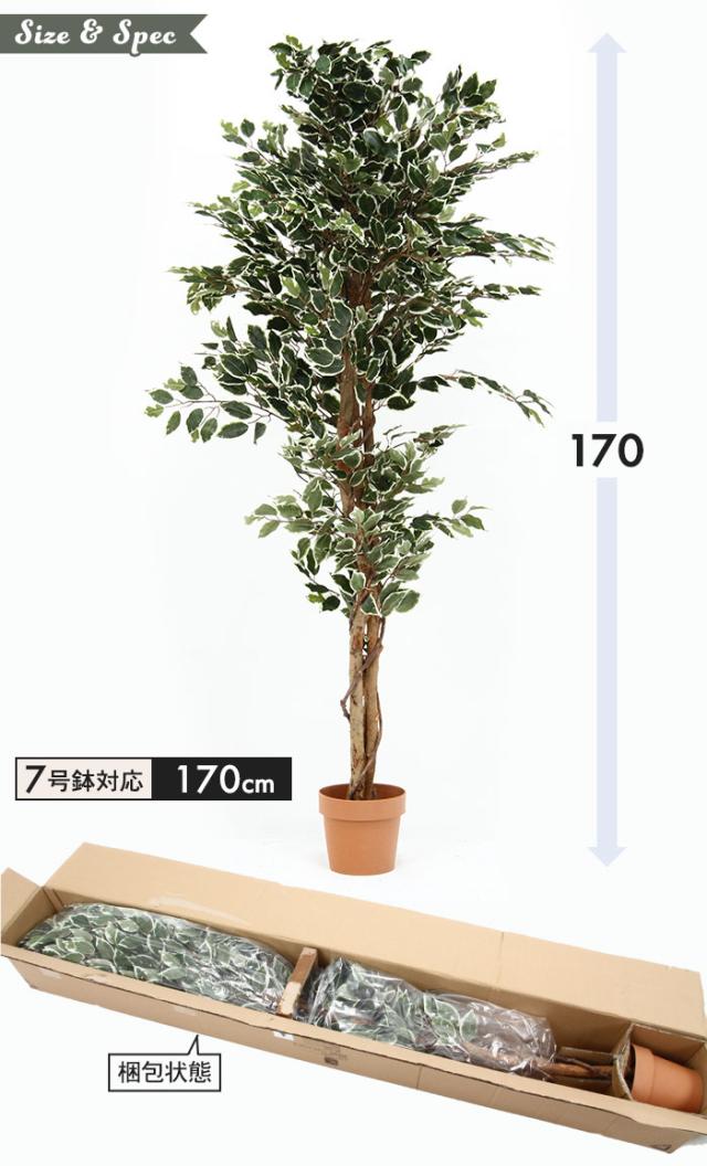 観葉植物 人工 フェイクグリーン フィカス 高さ 170cm 7号鉢対応 人工