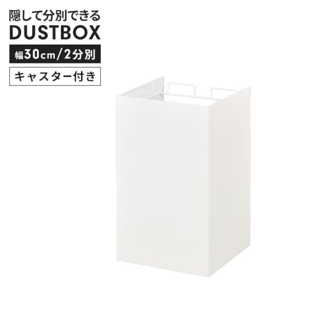 ごみ箱 分別 ダストボックス 2分別 幅30 奥行29 スチール製 ダストワゴン 目隠し ゴミ箱 日本製 清潔感 キャスター付き レジ袋スタンド くずかご シンプル おしゃれ 便利 新生活 一人暮らしの通販は 13,860円