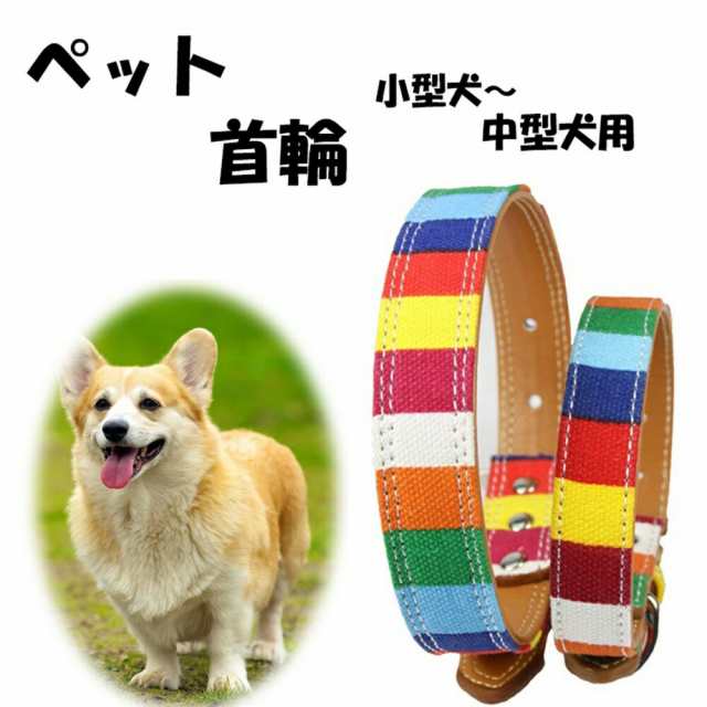 クーポン利用で0円 50 Offクーポン対象 犬 首輪 Sサイズ Mサイズ かわいい 中型犬 小型犬 Puレザー 犬の首輪 犬首輪 可愛い ワンちの通販はau Pay マーケット Mitas ミタス