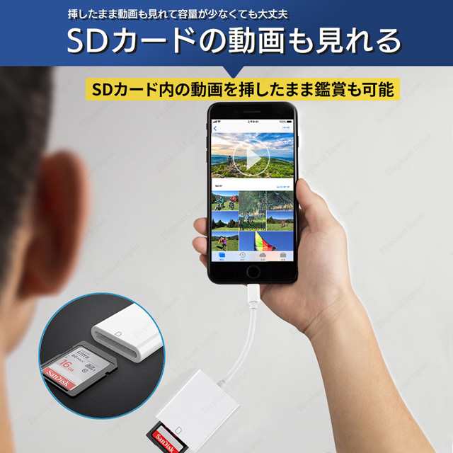 SD カードリーダー type-c  iPhone15 iPad パソコン Android タブレット SDリーダー 高速 Lightning iPhone