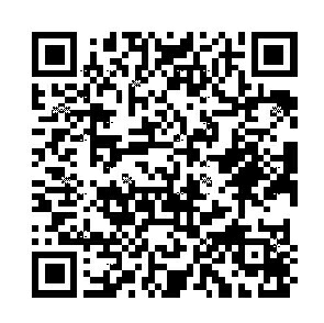 ｽｹｼﾞｭｰﾙ帳 22 年1月始まり Delfonics ﾃﾞﾙﾌｫﾆｯｸｽ 21年10月始まり手帳 月間式 月間ﾌﾞﾛｯｸ A5 ﾛﾙﾊﾞｰﾝ ﾀﾞの通販はau Pay マーケット 手帳のタイムキーパー