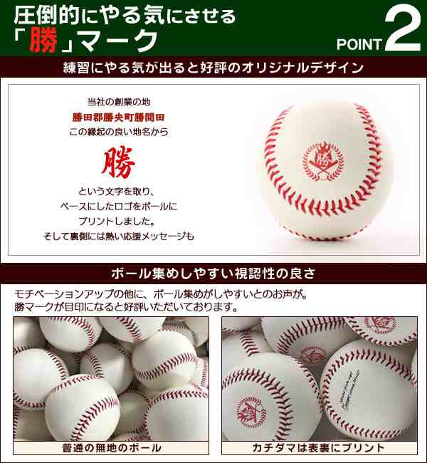 WEB限定カラー 硬式野球ボール 公式戦 大会用 硬式ボール 1ダース 12球 ...