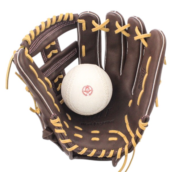 ソフトボール用グローブ / ワールドペガサス ソフトボールグローブ オールラウンド 左投げ 3号 一般 ソフト グラブ 型付け wgs5ed1-2807h ソフトボール用グローブ / ワールドペガサス ソフトボールグローブ