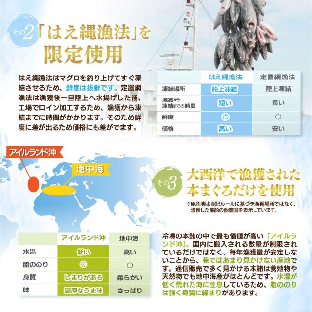 マグロ 訳あり 中トロ 天然本まぐろ中トロ1kg  本鮪 刺身 80284_10