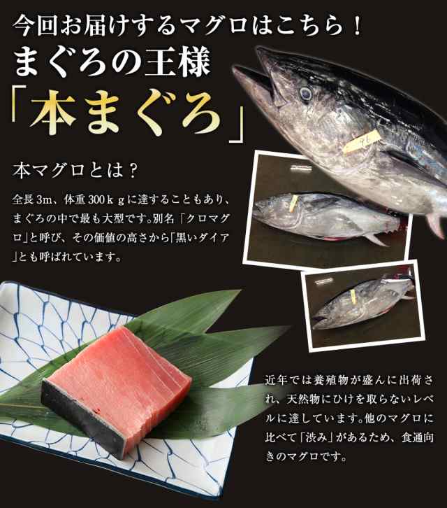 父の日ギフト 食べ物 海鮮 おつまみ マグロ マグロ刺身 訳あり 冷凍マグロ 1kg 解凍方法付 中トロ 本まぐろ中トロ1kg 送料無料 の通販はau Pay マーケット まぐろ家福坊