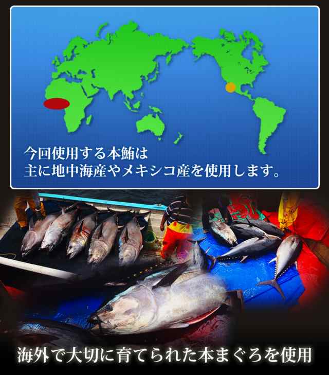 父の日ギフト 食べ物 海鮮 おつまみ マグロ マグロ刺身 訳あり 冷凍マグロ 1kg 解凍方法付 中トロ 本まぐろ中トロ1kg 送料無料 の通販はau Pay マーケット まぐろ家福坊