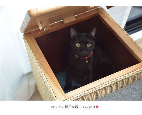 お洒落な ラタン風 猫ベッド ちぐら 黒色 - 猫用品