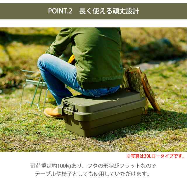 浅型タイプ トランクカーゴ LOW ４０L 送料無料 プラスチック トランク