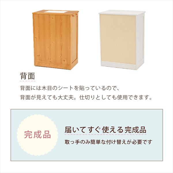 ゴミ箱 隠れてます キッチンカウンター ダストボックス 25Lペール2個