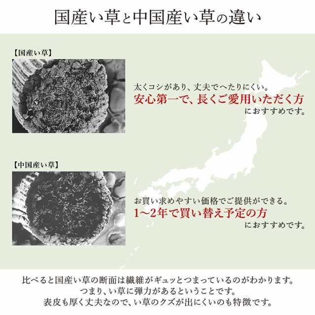 江戸間 4.5畳 国産 い草カーペット グリーン 261×261 / い草ラグマット