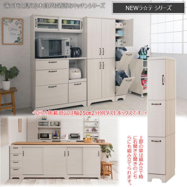 フラップ式ダストボックス 1分別 ホワイトウォッシュ ごみ箱 フラップ