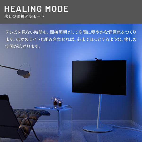 テレビとシンクロ 間接照明 シンククロビジュアルライト Mサイズ 【送料無料】 テレビ裏 LEDライト おしゃれ LEDテープ 連動 インテリア ホームシアター_10