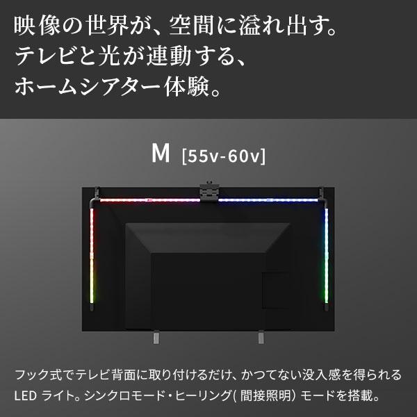 テレビとシンクロ 間接照明 シンククロビジュアルライト Mサイズ 【送料無料】 テレビ裏 LEDライト おしゃれ LEDテープ 連動 インテリア ホームシアター_1