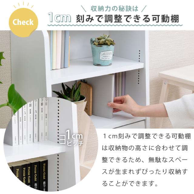 ディスプレイラック 本棚 フラップ扉 書棚 扉付き マガジン