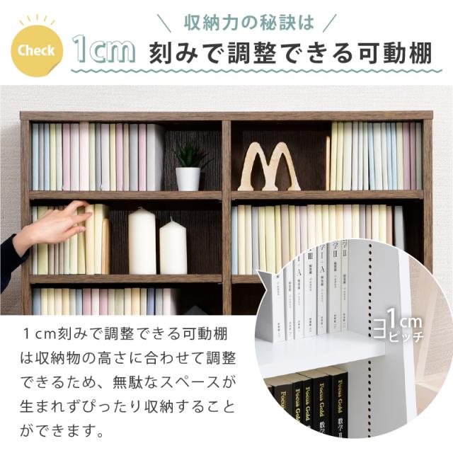 ディスプレイラック 本棚 フラップ扉 書棚 扉付き マガジン