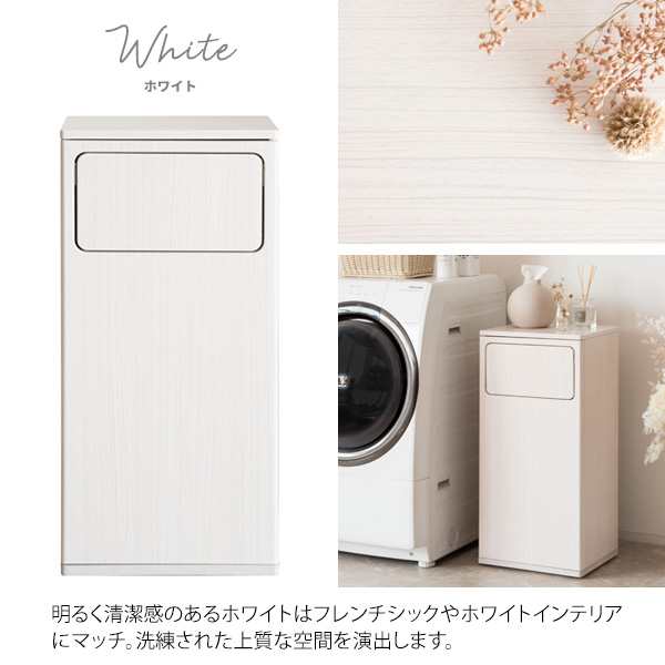 ws270-50_02.jpg