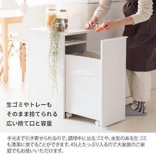 ゴミ箱感ゼロ 木目調 ダストボックス 45L 【送料無料】 リビング