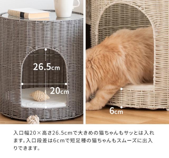 サイドテーブルにもなる ガラス天板 猫ちぐら 【送料無料】 人工ラタン