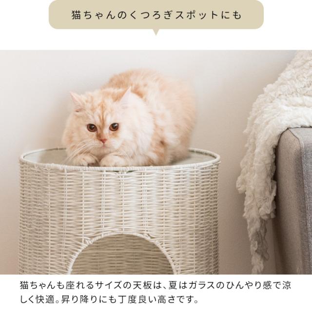 サイドテーブルにもなる ガラス天板 猫ちぐら 【送料無料】 人工ラタン