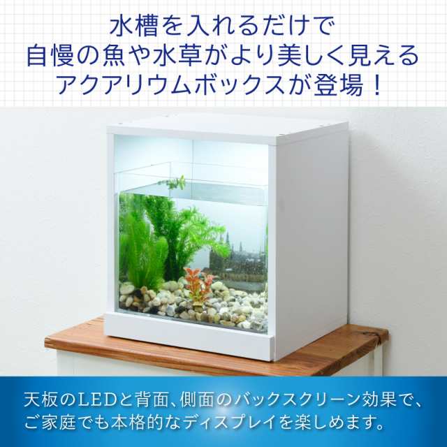 増設用】 水草が枯れない LED付き キューブボックスα アクア 本体 単品