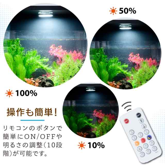 増設用】 水草が枯れない LED付き キューブボックスα アクア 本体 単品