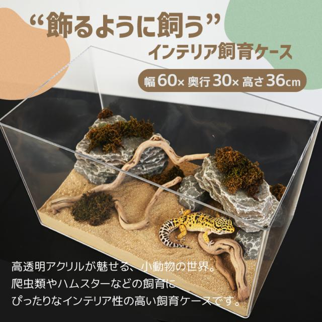 飼育ケース 飼育ケージ 幅60cm×高さ36cm奥行30cm 飼育かご 飼育容器 