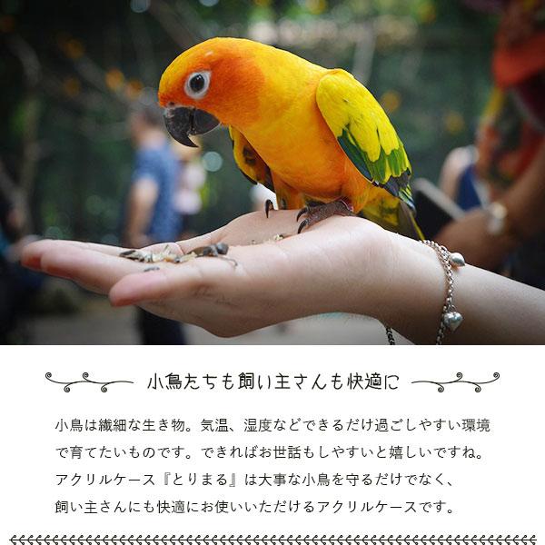 とりまる Lサイズ 専用遮光カバー付き 鳥かご カバー おやすみカバー おしゃれ 遮光 セキセイインコ オカメインコ 文鳥 バードケージ アクリル 透明 ケース レザー 保温 防寒 鳥 保護 ケース ケージ ゲージ カバー_1