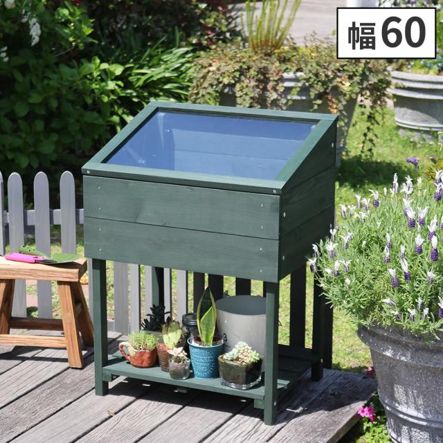 ガラスコンテナ ガーデニング 多肉 アンティーク ラック プランター 植物保護に ガラスコンテナ ガーデニング 多肉 アンティーク ラック プランター