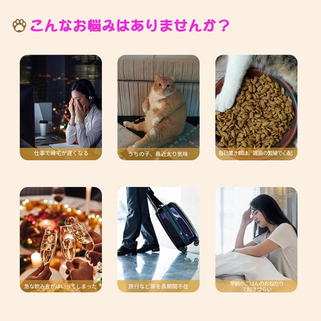 Ciaobot (チャオボット) 自動給餌器 カメラ付 猫 犬 自動餌やり