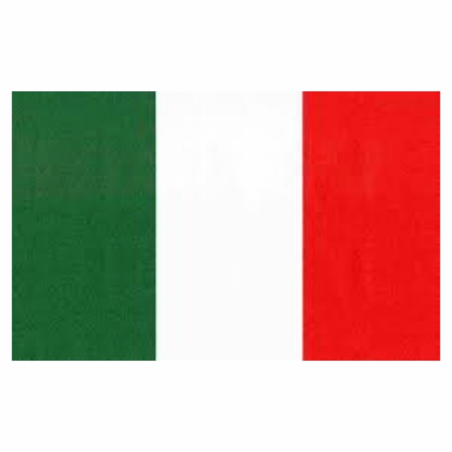 イタリア 国旗 フラッグ 4号 大きい サイズ 150 90cm 紐 取り付け 部屋 壁 インテリア 送料無料の通販はau Pay マーケット スタンダード