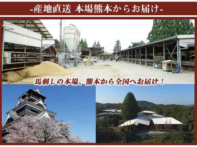 馬刺し 赤身 霜降り たてがみ 馬刺しセット 熊本 3種 国産 3種食べ比べセット 約5人前 250g 馬刺 馬肉 お中元 お歳暮 ギフト 贈り物 贈答の通販はau  PAY マーケット - レモンの木