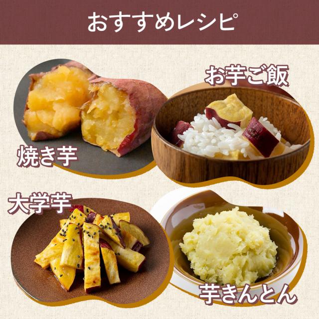 紅はるか さつまいも 5kg 送料無料 生芋 産地直送 産直 土付き