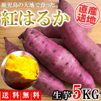 紅はるか さつまいも 5kg 送料無料 生芋 産地直送 産直 土付き さつま芋 薩摩芋 焼きいも 焼き芋 石焼き芋 芋 いも イモ 鹿児島県産の通販はau Pay マーケット レモンの木