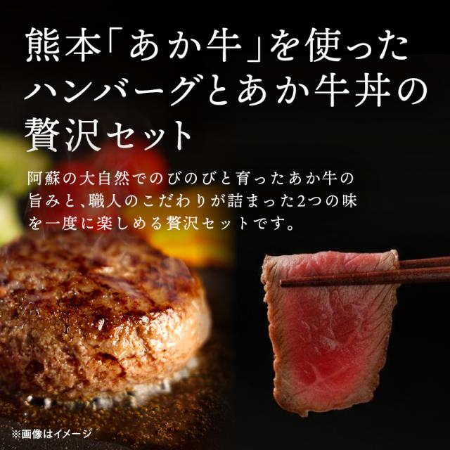 肉作業場三協 熊本 あか牛 ハンバーグ (120gx3個) &amp; あか牛丼 (200g・たれ付) 仕かける 凝結 日本差し上げ物大賞 牛丼 和牛 熊本和牛 赤牛 お取り寄せ 差し上げ物 食い道楽 前田家 貨物輸送無料 MAEDAYA