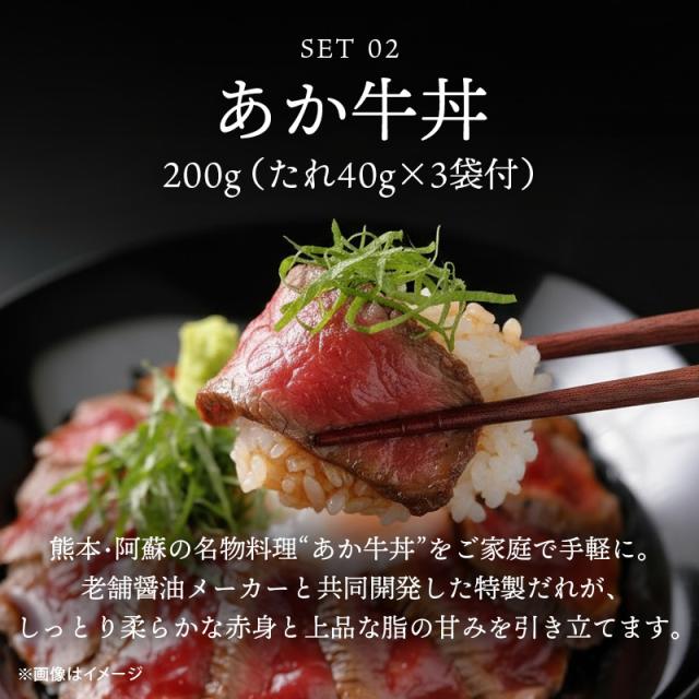 肉作業場三協 熊本 あか牛 ハンバーグ (120gx3個) &amp; あか牛丼 (200g・たれ付) 仕かける 凝結 日本差し上げ物大賞 牛丼 和牛 熊本和牛 赤牛 お取り寄せ 差し上げ物 食い道楽 前田家 貨物輸送無料 MAEDAYA