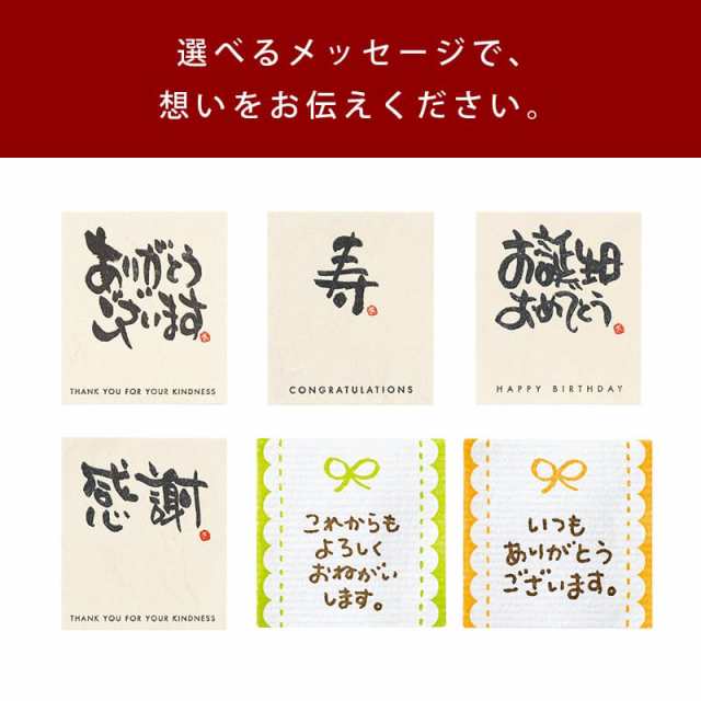 前田家] 釜飯 ご自宅料亭セット 日本製 匠の技シリーズ トライアル